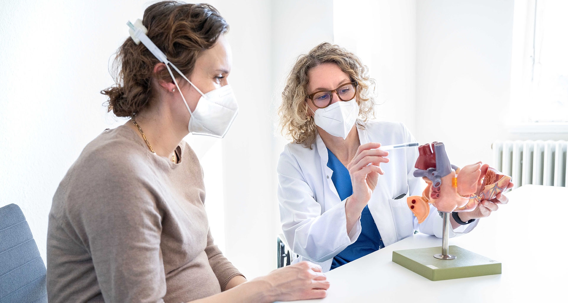 Prof. Dr. Katharina Schmitt erklärt am Herzmodell